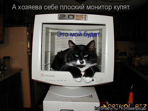 Это мой будет. А хозяева себе плоский монитор купят.... Котоматрица: Это мой будет. А хозяева себе плоский монитор купят.
