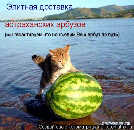 Элитная доставка астраханских арбузов (мы гарантируем что не съедим Ваш арбуз по пути) (мы гарантируе... Котоматрица: Элитная доставка астраханских арбузов (мы гарантируем что не съедим Ваш арбуз по пути) (мы гарантируем что не съедим Ваш арбуз по пути)