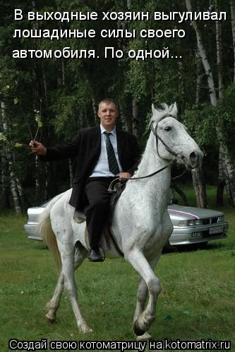 В выходные хозяин выгуливал лошадиные силы своего автомобиля. По одной...... Котоматрица: В выходные хозяин выгуливал лошадиные силы своего автомобиля. По одной...
