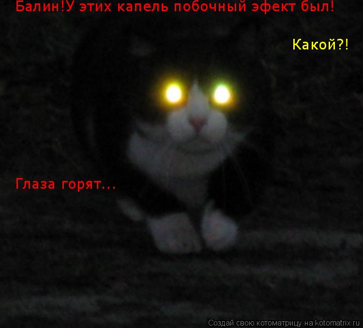Балин!У этих капель побочный эфект был! Какой?! Глаза горят...... Котоматрица: Балин!У этих капель побочный эфект был! Какой?! Глаза горят...