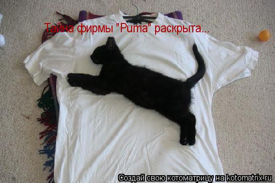 Тайна фирмы "Puma" раскрыта...... Котоматрица: Тайна фирмы "Puma" раскрыта...