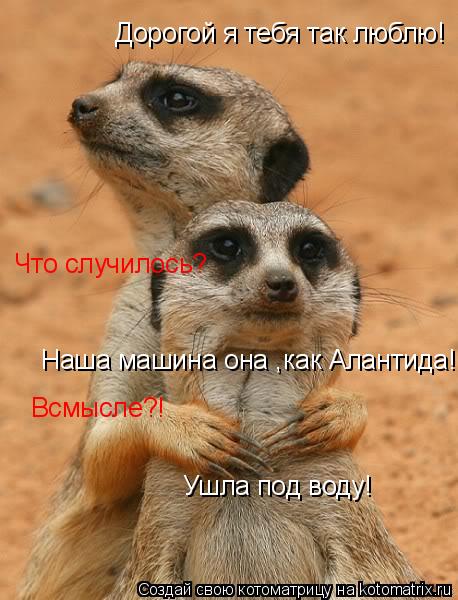 Дорогой я тебя так люблю! Что случилось? Наша машина она ,как Алантида! Всмысле?! Ушла под воду!... Котоматрица: Дорогой я тебя так люблю! Что случилось? Наша машина она ,как Алантида! Всмысле?! Ушла под воду!