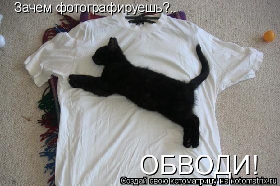 Зачем фотографируешь?.. ОБВОДИ!... Котоматрица: Зачем фотографируешь?.. ОБВОДИ!