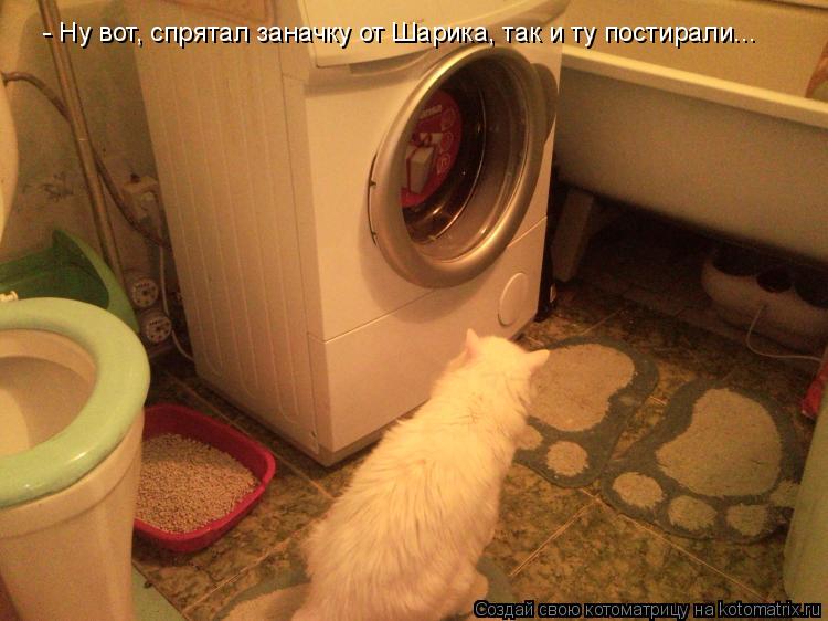 - Ну вот, спрятал заначку от Шарика, так и ту постирали...... Котоматрица: - Ну вот, спрятал заначку от Шарика, так и ту постирали...