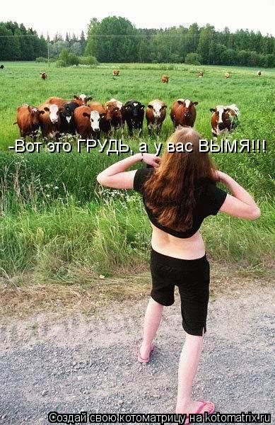 -Вот это ГРУДЬ, а у вас ВЫМЯ!!!... Котоматрица: -Вот это ГРУДЬ, а у вас ВЫМЯ!!!