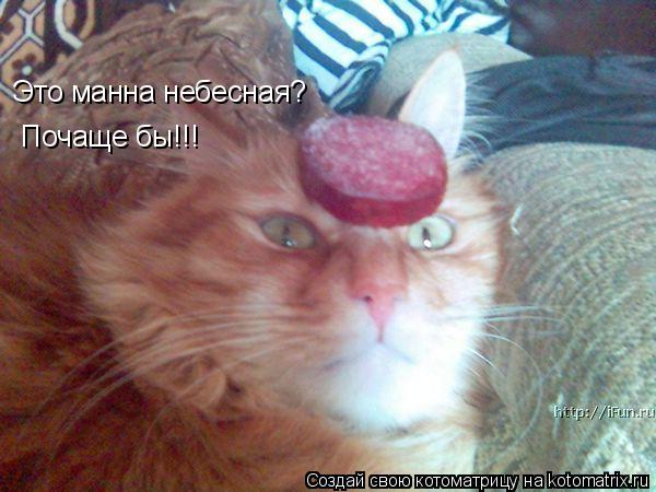 Это манна небесная? Почаще бы!!!... Котоматрица: Это манна небесная? Почаще бы!!!