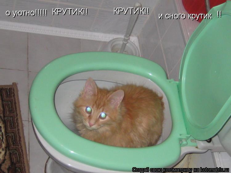 о уютно!!!!! КРУТИК!! КРУТИК!! и сного крутик !!... Котоматрица: о уютно!!!!! КРУТИК!! КРУТИК!! и сного крутик !!