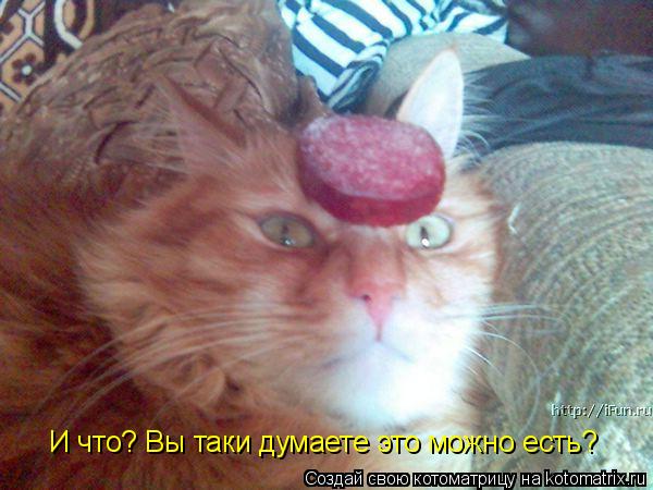 Котоматрица: И что? Вы таки думаете это можно есть?