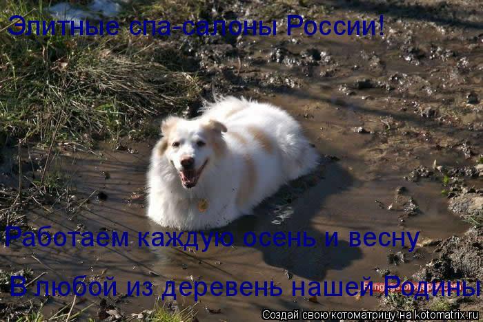 Элитные спа-салоны России! Работаем каждую осень и весну В любой из деревень нашей Родины!... Котоматрица: Элитные спа-салоны России! Работаем каждую осень и весну В любой из деревень нашей Родины!