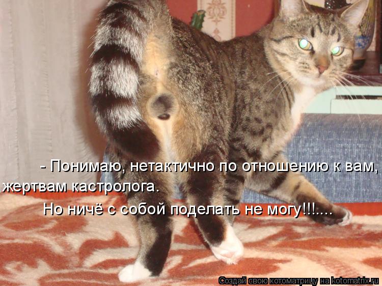 - Понимаю, нетактично по отношению к вам, жертвам кастролога. Но ничё с собой поделать не могу!!!....... Котоматрица: - Понимаю, нетактично по отношению к вам, жертвам кастролога. Но ничё с собой поделать не могу!!!....