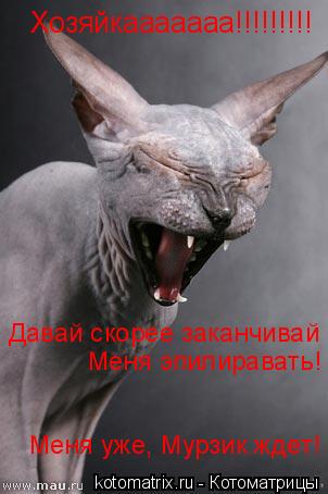 Хозяйкааааааа!!!!!!!!! Давай скорее заканчивай Меня эпилиравать! Меня уже, Мурзик ждет!... Котоматрица: Хозяйкааааааа!!!!!!!!! Давай скорее заканчивай Меня эпилиравать! Меня уже, Мурзик ждет!