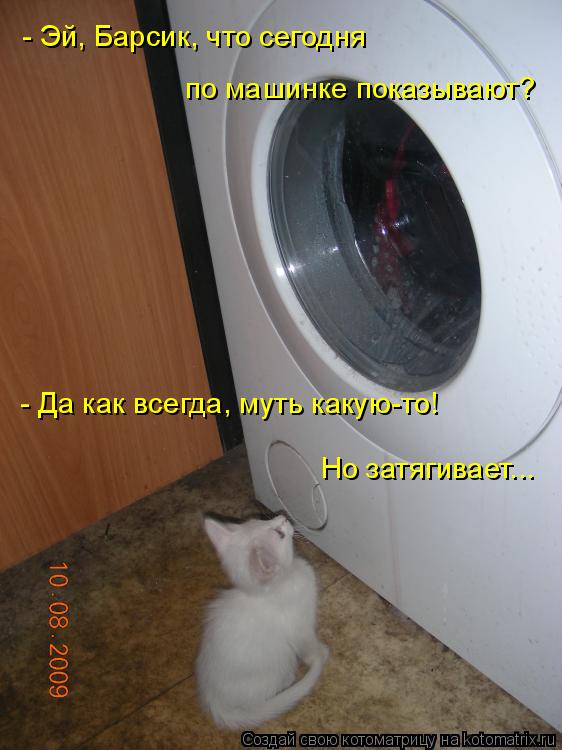 Котоматрица: - Эй, Барсик, что сегодня  по машинке показывают? - Да как всегда, муть какую-то! Но затягивает...