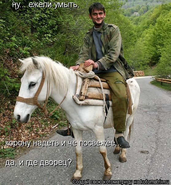 ну... ежели умыть, корону надеть и чё посвежее... да, и где дворец?... Котоматрица: ну... ежели умыть, корону надеть и чё посвежее... да, и где дворец?
