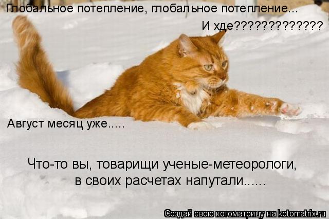 Глобальное потепление, глобальное потепление... И хде????????????? Август месяц уже..... в своих расч... Котоматрица: Глобальное потепление, глобальное потепление... И хде????????????? Август месяц уже..... в своих расчетах напутали...... Что-то вы, товарищи ученые-ме