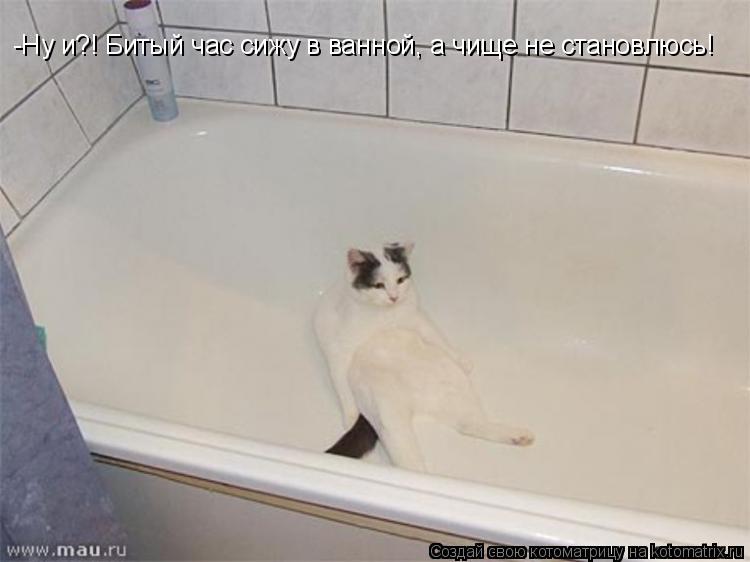-Ну и?! Битый час сижу в ванной, а чище не становлюсь!... Котоматрица: -Ну и?! Битый час сижу в ванной, а чище не становлюсь!