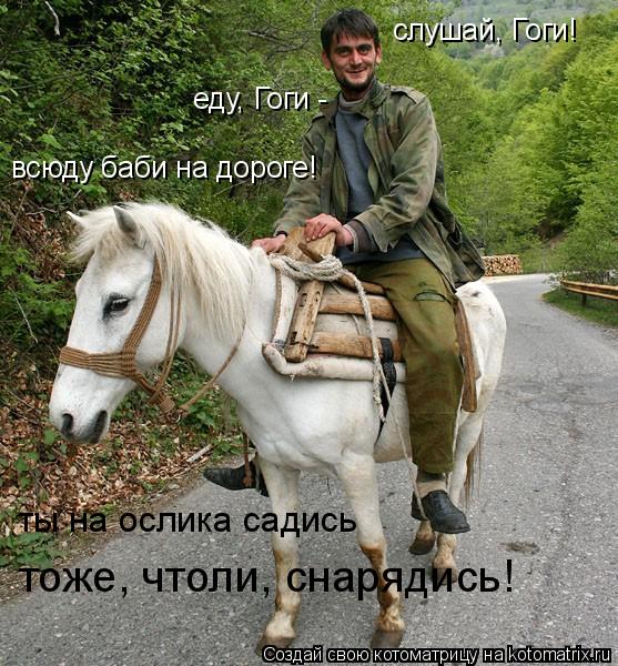 слушай, Гоги! еду, Гоги - всюду баби на дороге! ты на ослика садись тоже, чтоли, снарядись!... Котоматрица: слушай, Гоги! еду, Гоги - всюду баби на дороге! ты на ослика садись тоже, чтоли, снарядись!