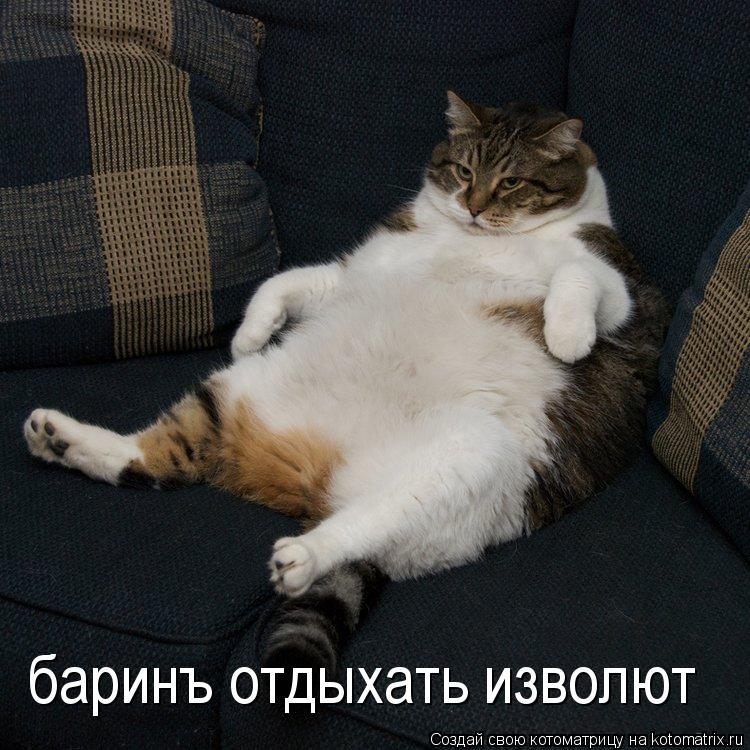 баринъ отдыхать изволют... Котоматрица: баринъ отдыхать изволют