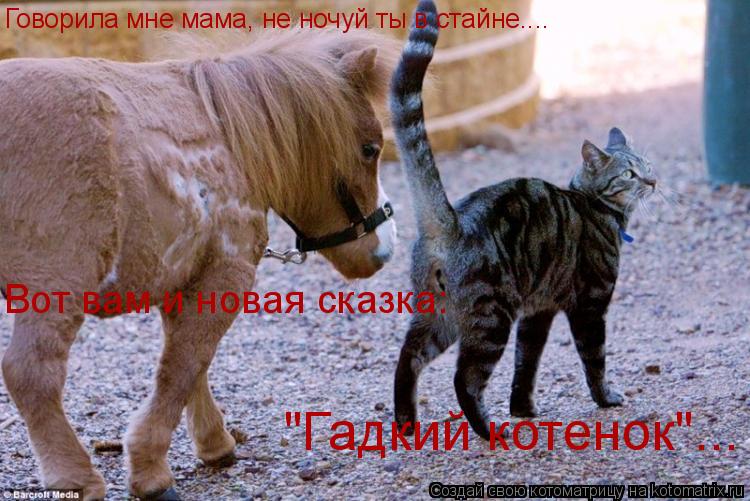 Говорила мне мама, не ночуй ты в стайне.... Вот вам и новая сказка: "Гадкий котенок"...... Котоматрица: Говорила мне мама, не ночуй ты в стайне.... Вот вам и новая сказка: "Гадкий котенок"...