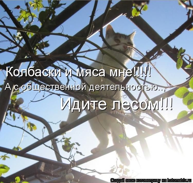 Колбаски и мяса мне!!!!! А с общественной деятельностью.., Идите лесом!!!... Котоматрица: Колбаски и мяса мне!!!!! А с общественной деятельностью.., Идите лесом!!!