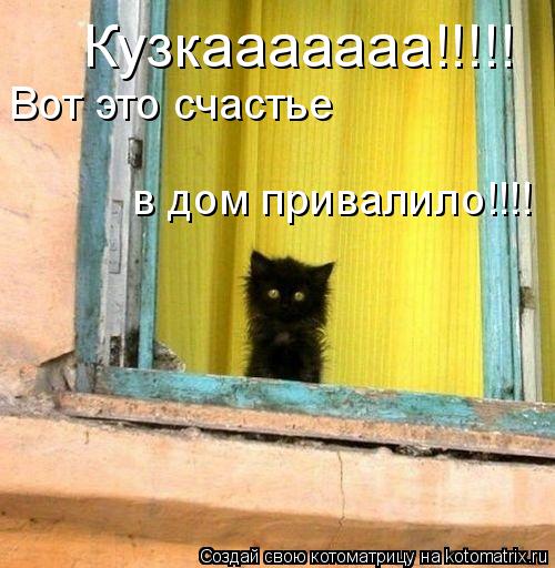 Кузкааааааа!!!!! Вот это счастье в дом привалило!!!!... Котоматрица: Кузкааааааа!!!!! Вот это счастье в дом привалило!!!!