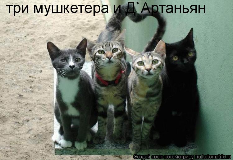 три мушкетера и Д`Артаньян... Котоматрица: три мушкетера и Д`Артаньян