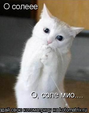 О солеее О, соле мио....... Котоматрица: О солеее О, соле мио....