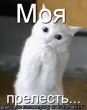 Моя прелесть...... Котоматрица: Моя прелесть...