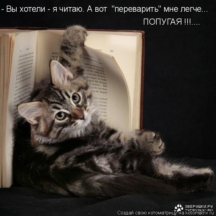 - Вы хотели - я читаю. А вот "переварить" мне легче... ПОПУГАЯ !!!....... Котоматрица: - Вы хотели - я читаю. А вот "переварить" мне легче... ПОПУГАЯ !!!....