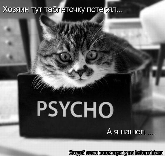 Хозяин тут таблеточку потерял... А я нашел........ Котоматрица: Хозяин тут таблеточку потерял... А я нашел.....