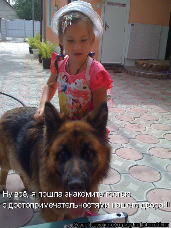 с достопримечательностями нашего двора!!! Ну всё, я пошла знакомить гостью... Котоматрица: с достопримечательностями нашего двора!!! Ну всё, я пошла знакомить гостью