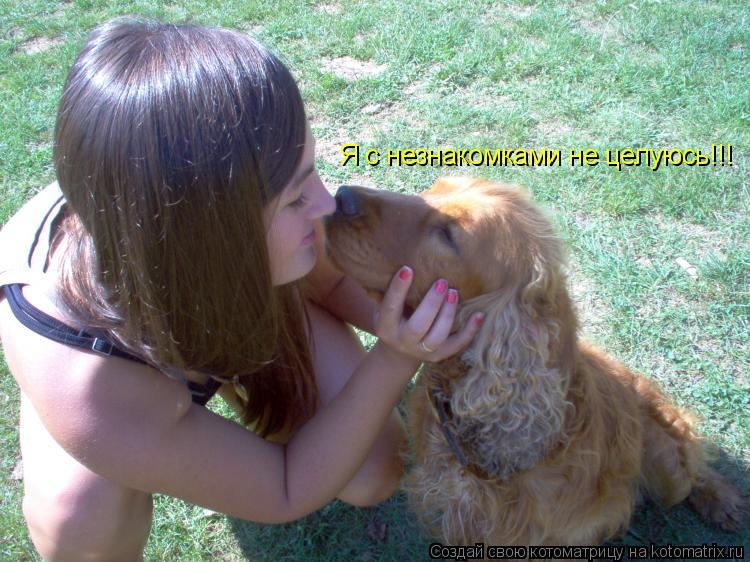 Я с незнакомками не целуюсь!!!... Котоматрица: Я с незнакомками не целуюсь!!!