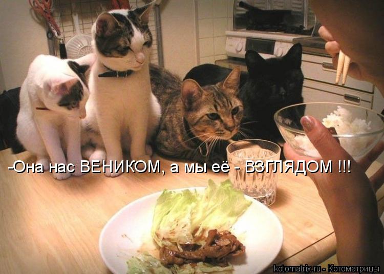 -Она нас ВЕНИКОМ, а мы её - ВЗГЛЯДОМ !!!... Котоматрица: -Она нас ВЕНИКОМ, а мы её - ВЗГЛЯДОМ !!!