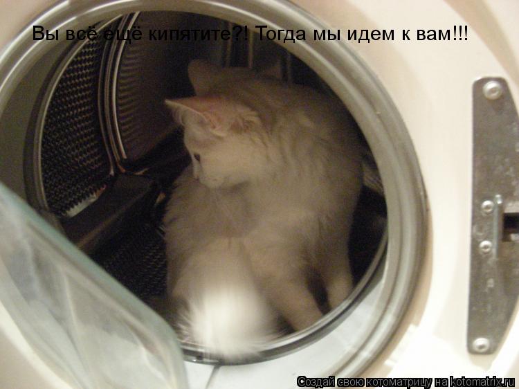 Вы всё ещё кипятите?! Тогда мы идем к вам!!!... Котоматрица: Вы всё ещё кипятите?! Тогда мы идем к вам!!!