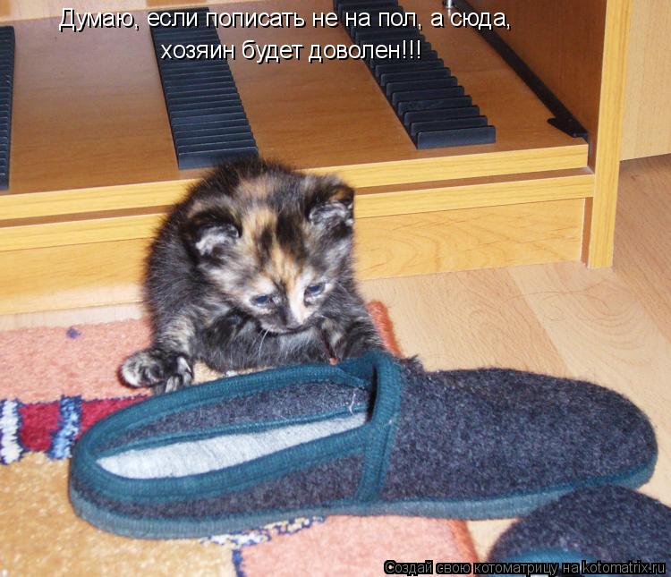 Думаю, если пописать не на пол, а сюда, хозяин будет доволен!!!... Котоматрица: Думаю, если пописать не на пол, а сюда, хозяин будет доволен!!!