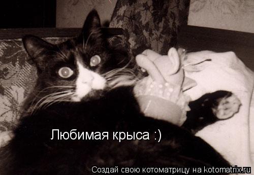 Любимая крыса :)... Котоматрица: Любимая крыса :)