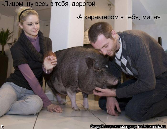 -Лицом, ну весь в тебя, дорогой. -А характером в тебя, милая.... Котоматрица: -Лицом, ну весь в тебя, дорогой. -А характером в тебя, милая.