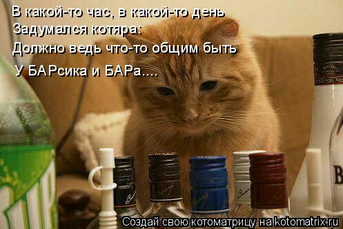 Котоматрица: В какой-то час, в какой-то день Задумался котяра: Должно ведь что-то общим быть У БАРсика и БАРа....