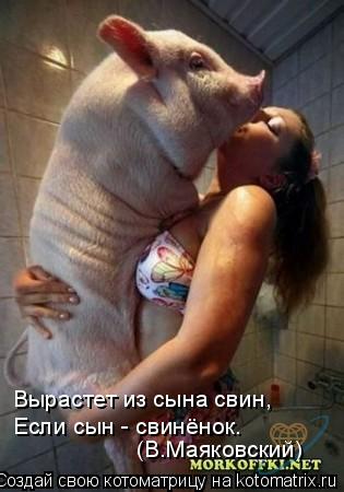 Котоматрица: Вырастет из сына свин,  Если сын - свинёнок. (В.Маяковский)