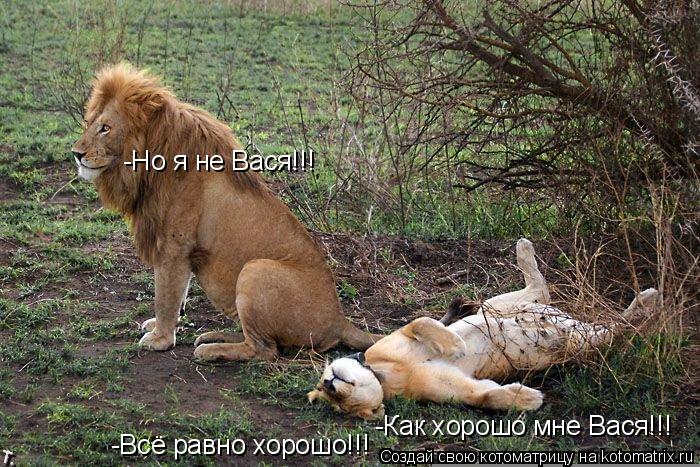 Котоматрица: -Как хорошо мне Вася!!! -Но я не Вася!!! -Всё равно хорошо!!!