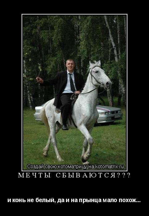МЕЧТЫ СБЫВАЮТСЯ??? и конь не белый, да и на прынца мало похож...... Котоматрица: МЕЧТЫ СБЫВАЮТСЯ??? и конь не белый, да и на прынца мало похож...