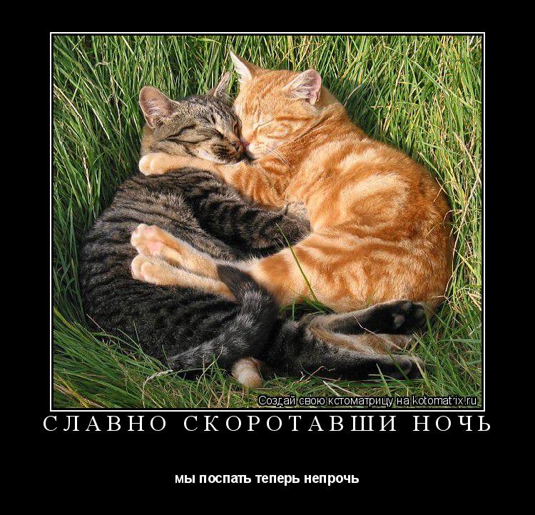 славно скоротавши ночь мы поспать теперь непрочь... Котоматрица: славно скоротавши ночь мы поспать теперь непрочь