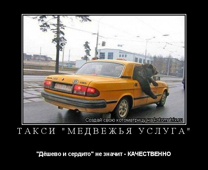 ТАКСИ "МЕДВЕЖЬЯ УСЛУГА" "Дёшево и сердито" не значит - КАЧЕСТВЕННО... Котоматрица: ТАКСИ "МЕДВЕЖЬЯ УСЛУГА" "Дёшево и сердито" не значит - КАЧЕСТВЕННО