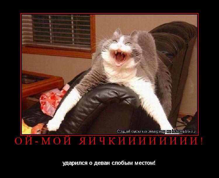 ой-мой яичкииииииии! ударился о деван слобым местом!... Котоматрица: ой-мой яичкииииииии! ударился о деван слобым местом!