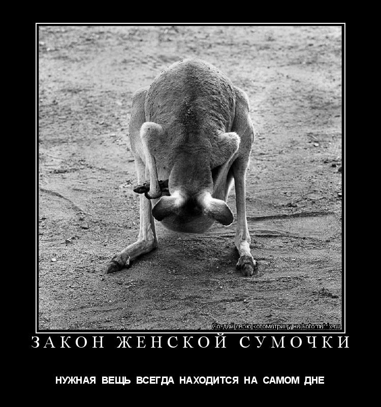 ЗАКОН ЖЕНСКОЙ СУМОЧКИ НУЖНАЯ ВЕЩЬ ВСЕГДА НАХОДИТСЯ НА САМОМ ДНЕ... Котоматрица: ЗАКОН ЖЕНСКОЙ СУМОЧКИ НУЖНАЯ ВЕЩЬ ВСЕГДА НАХОДИТСЯ НА САМОМ ДНЕ