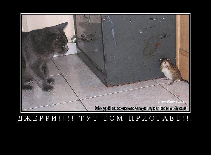 ДЖЕРРИ!!!! ТУТ ТОМ ПРИСТАЕТ!!! ... Котоматрица: ДЖЕРРИ!!!! ТУТ ТОМ ПРИСТАЕТ!!!