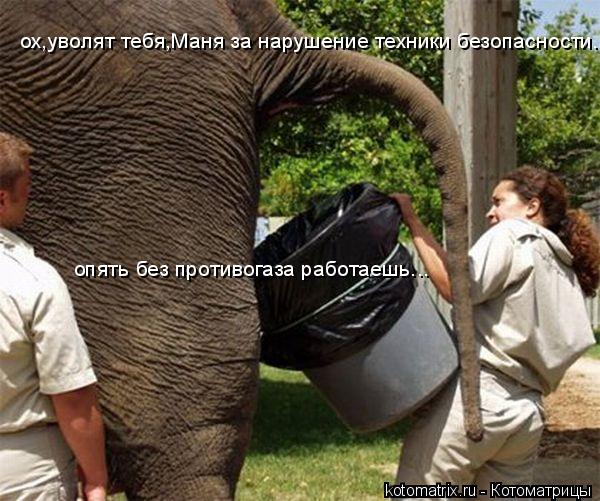 Котоматрица: ох,уволят тебя,Маня за нарушение техники безопасности... опять без противогаза работаешь...