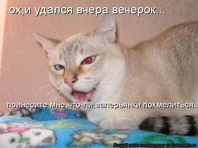 ох,и удался вчера вечерок... принесите мне,что-ли,валерьянки похмелиться...... Котоматрица: ох,и удался вчера вечерок... принесите мне,что-ли,валерьянки похмелиться...