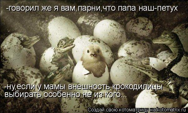 -говорил же я вам,парни,что папа наш-петух -ну,если у мамы внешность крокодилицы выбирать особенно не... Котоматрица: -говорил же я вам,парни,что папа наш-петух -ну,если у мамы внешность крокодилицы выбирать особенно не из кого...