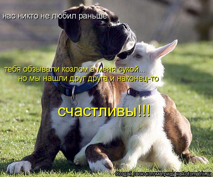 нас никто не любил раньше тебя обзывали козлом,а меня сукой... но мы нашли друг друга и наконец-то с... Котоматрица: нас никто не любил раньше тебя обзывали козлом,а меня сукой... но мы нашли друг друга и наконец-то счастливы!!!