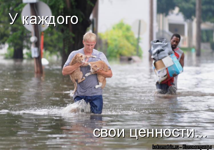 У каждого свои ценности...... Котоматрица: У каждого свои ценности...